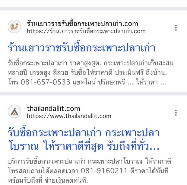 ผลการค้นหา Google แสดงเว็บไซต์ร้านเยาวราชรับซื้อกระเพาะปลาเก่าติดหน้าแรก